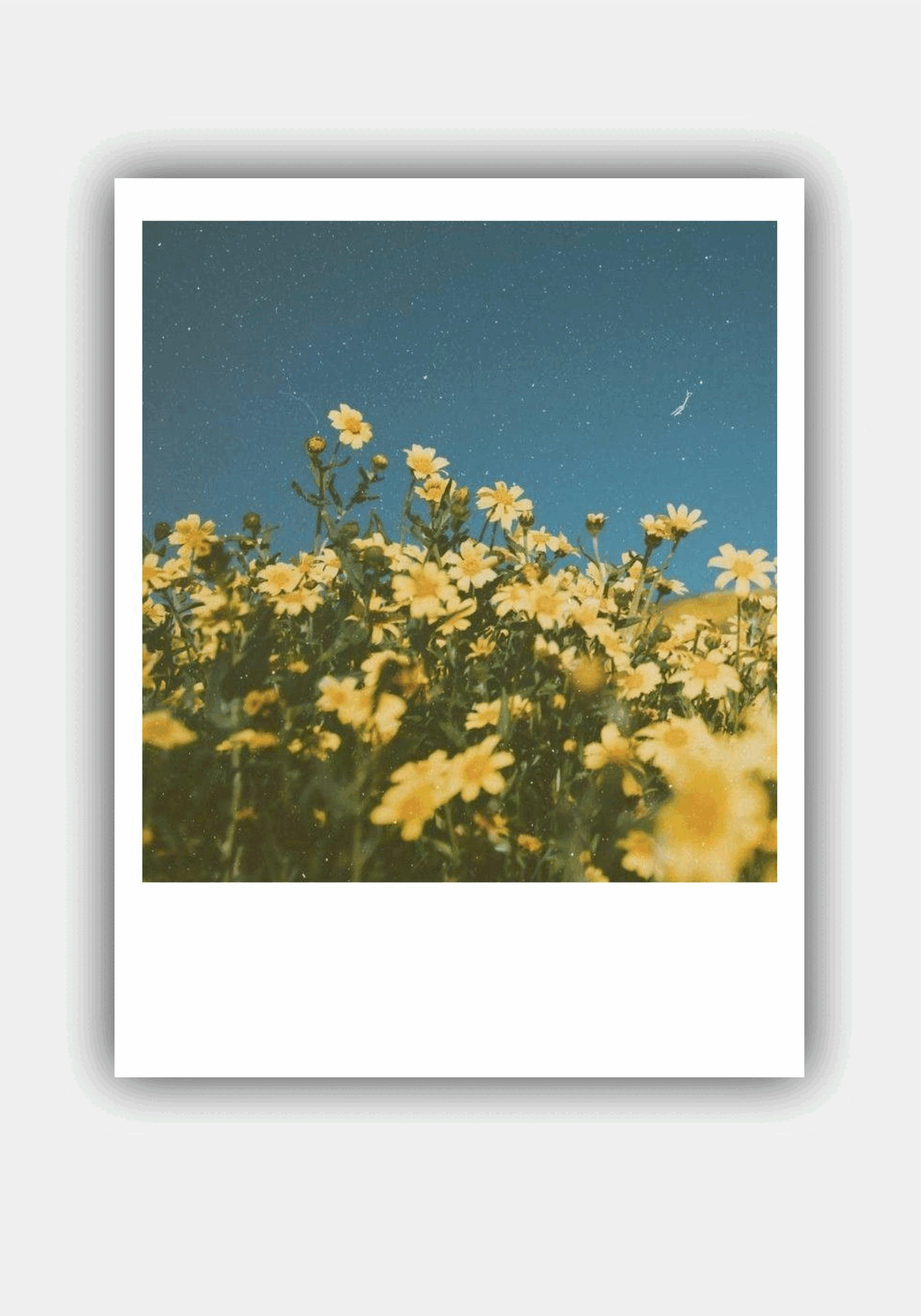 Custom Retro Prints – Mini Polaroid Style Photo Prints